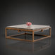 Industrial-modern concrete coffee table with a sleek metal frame, featuring a coral centerpiece.