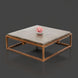 Industrial-modern square concrete coffee table with a sleek bronze metal frame, featuring a coral accent.