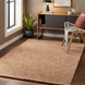 Surya Aiden AEN-1003 hand-tufted wool area rug in burnt orange and ivory, on a dark wood floor.