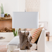 Darby Accent Table Lamp with a natural wood-look sculptural base and a rectangular white fabric shade.