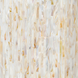 Close-up of the Surya Iridescent End Table, showcasing its tan and ivory shell detailing.