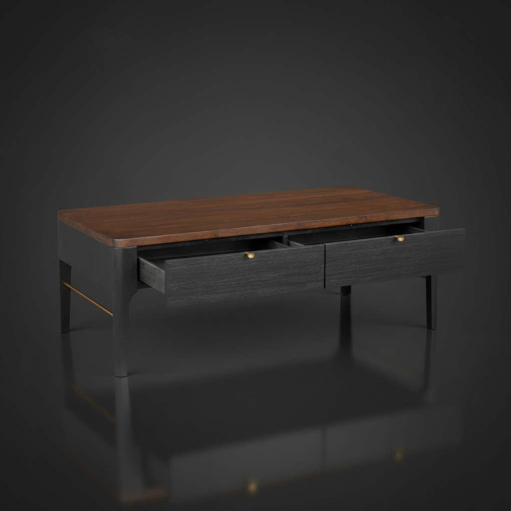 Surya Anello rectangular coffee table with brown wood veneer top, black body, and two open drawers with brass pulls.