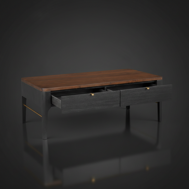 Surya Anello rectangular coffee table with brown wood veneer top, black body, and two open drawers with brass pulls.