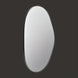 Modern organic-shaped mirror with a sleek black frame, reflecting light.