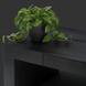 Black brushed mango wood Surya Coburn coffee table with a plant, showing the soft-close drawer and storage.