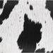 Black and white cowhide pattern, a close-up of natural animal print texture.